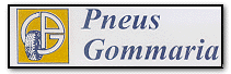 Logo Pneus Gommaria